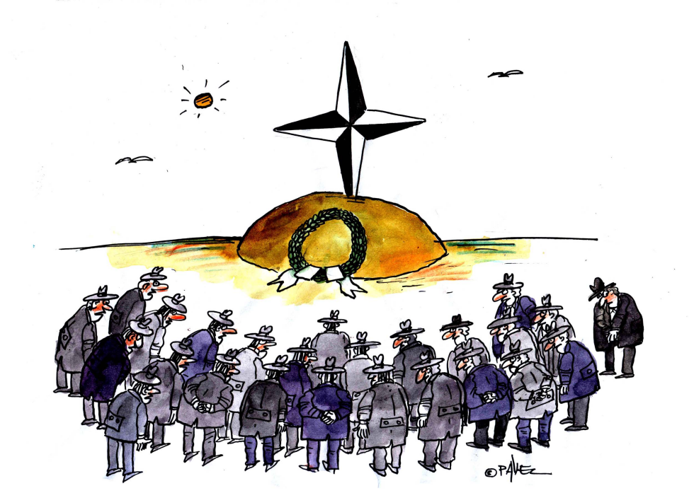  NATO SUMMIT by Pavel Constantin