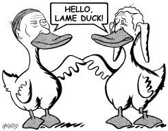 LAME DUCKS by Rainer Hachfeld