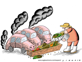 ALIMENTOS PARA CARROS  by Osmani Simanca