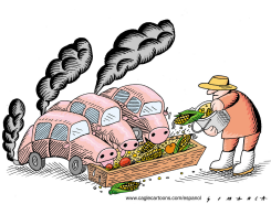 CORN ETHANOL AND PIG-CARS  by Osmani Simanca