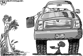 BIOFUEL FOOL by Pat Bagley