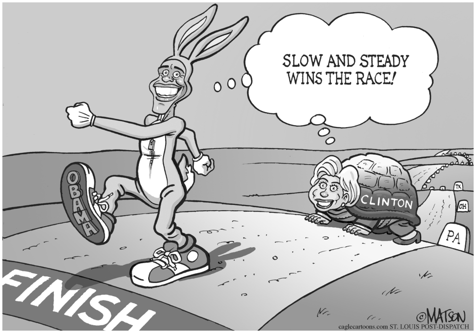  THE HILLARY AND THE HARE by RJ Matson