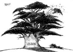 CEDAR by Petar Pismestrovic