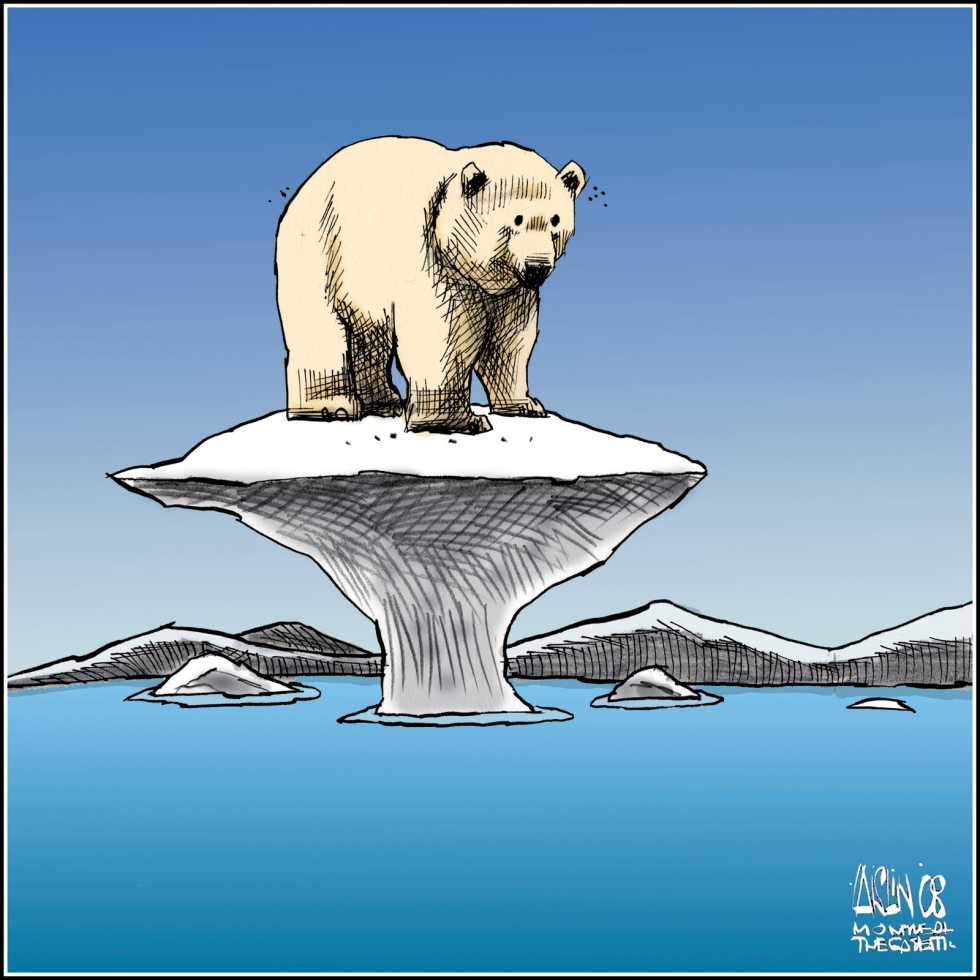  POLAR BEAR NOW ENDANGERED SPECIE by Aislin