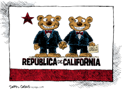 MATRIMONIO GAY EN CALIFORNIA  by Daryl Cagle