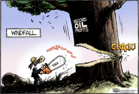 OIL WINDFALL PROFITS TAX  by Nate Beeler