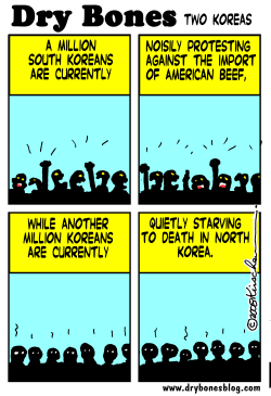 SOUTH KOREA AND AMERICAN BEEF by Yaakov Kirschen