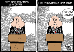 JOHN MCCAIN by Bob Englehart