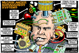 MCCAIN ANGER MANAGEMENT SYSTEMS by Wolverton