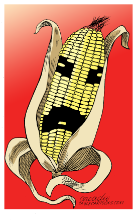 THE CORN SCARES NOW  by Arcadio Esquivel