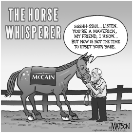 THE HORSE WHISPERER by RJ Matson