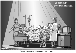 MIRACLE OF MODERN MEDICINE by RJ Matson