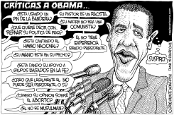 CRITICAS A OBAMA by Wolverton