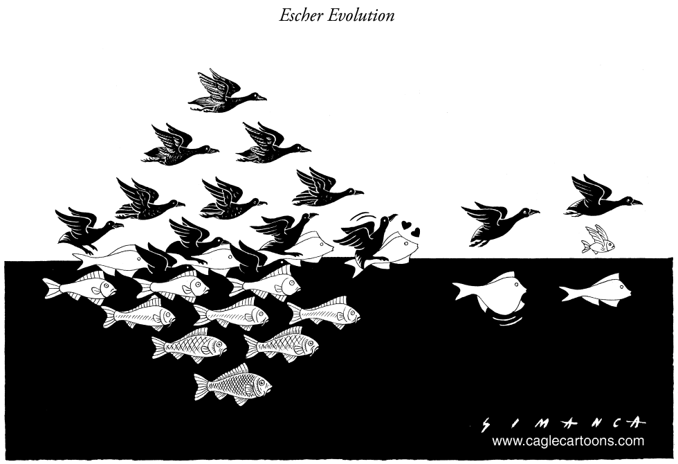  EVOLUCION  by Osmani Simanca