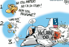 MCCAIN DUCKS BUSH  by Pat Bagley