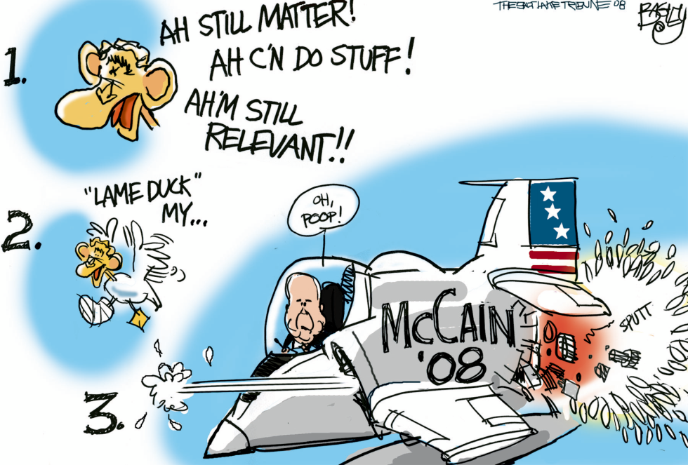  MCCAIN DUCKS BUSH  by Pat Bagley