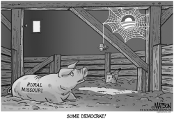 LOCAL MO-OBAMA'S WEB by RJ Matson