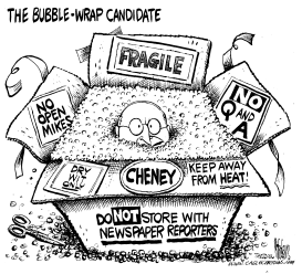 BUBBLE WRAP CANDIDATE by Mike Lane