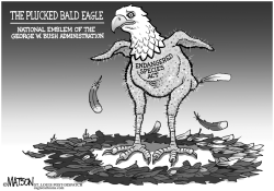 ENDANGERED SPECIES ACT by RJ Matson