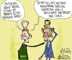 BARACK PICKS BIDEN by Gary McCoy