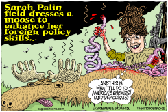 PALIN FIELD DRESSES FOREIGN POLICY by Wolverton