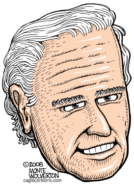 JOE BIDEN  by Wolverton