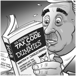 CONGRESSMAN RANGEL'S TAX CODE FOR DUMMIES by RJ Matson