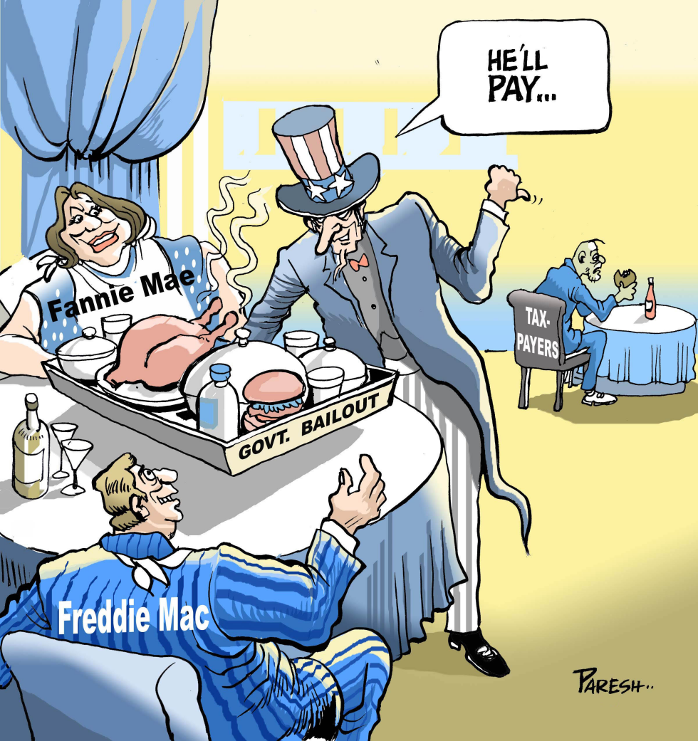  BAIL OUT FREDDIE, FANNIE by Paresh Nath