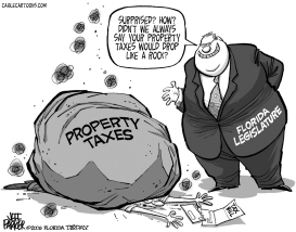 LOCAL FL TAXES DROP LIKE A ROCK by Parker