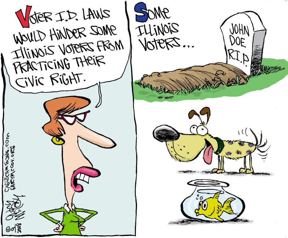  LOCAL-IL VOTER ID LAWS by Gary McCoy