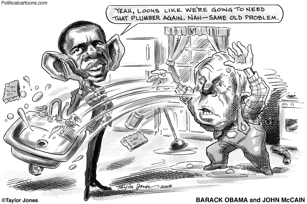  OBAMA, MCCAIN AND KITCHEN SINK by Taylor Jones