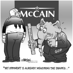 MCCAIN COATTAILS by RJ Matson