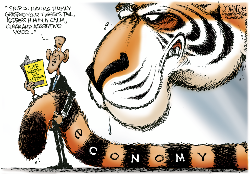  ECONOMIC TIGER BY THE TAIL by John Cole