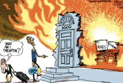 BURNING DOWN THE HOUSE by Pat Bagley