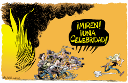 INCENDIOS, CELEBRIDADES Y LOS MEDIOS  by Daryl Cagle