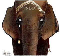 INDIA MOURNS by Patrick Corrigan