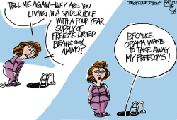 FREEDOM HATIN OBAMA  by Pat Bagley