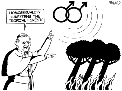 POPE ON HOMOSEX by Rainer Hachfeld