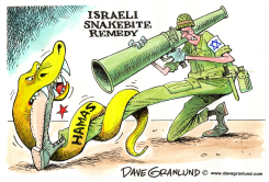 ISRAEL VS HAMAS by Dave Granlund