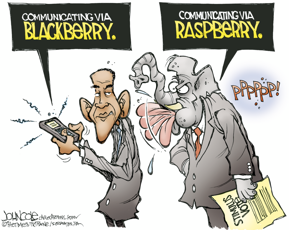  BLACKBERRY VS RASPBERRY by John Cole