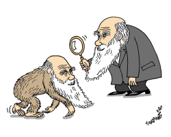 CHARLES DARWIN by Stephane Peray