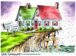 FANNIE AND FREDDIE FED AID by Dave Granlund