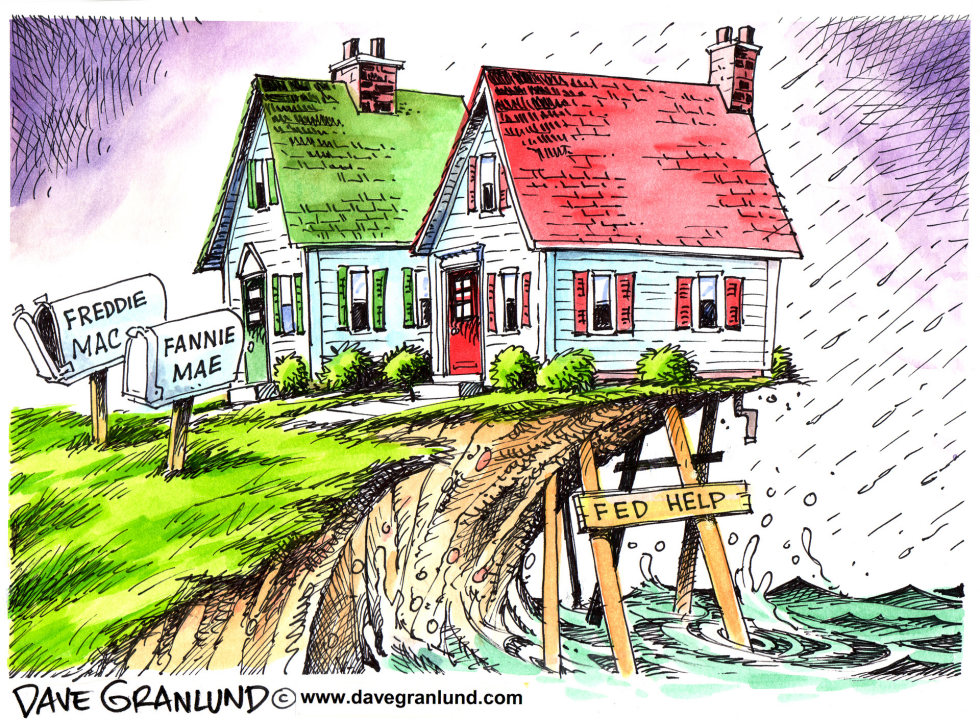  FANNIE AND FREDDIE FED AID by Dave Granlund