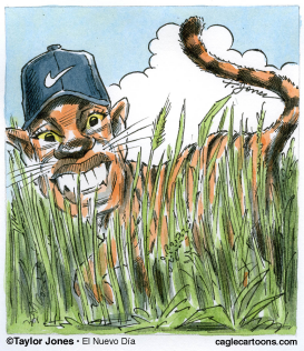 TIGER WOODS OR TABBY WOODS  by Taylor Jones