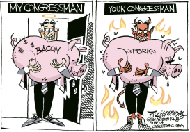 MY CONGRESSMAN VS YOUR CONGRESSMAN by David Fitzsimmons