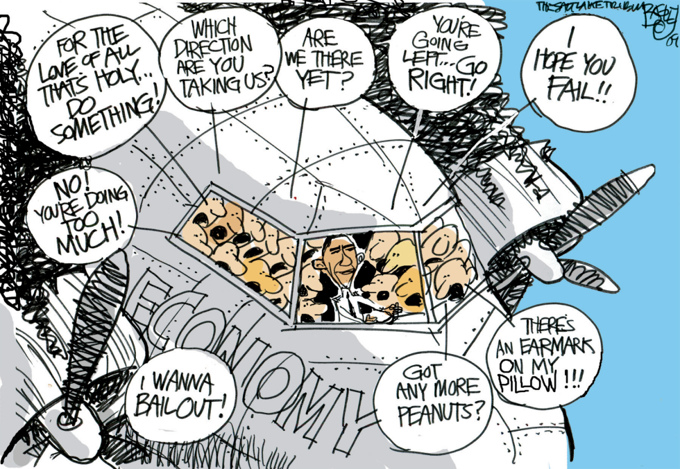  FLYBY ADVICE by Pat Bagley