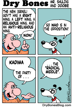 THE NEW ISRAELI GOVERNMENT by Yaakov Kirschen