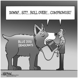 BLUE DOG DEMOCRATS by RJ Matson