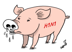 H1N1 by Stephane Peray