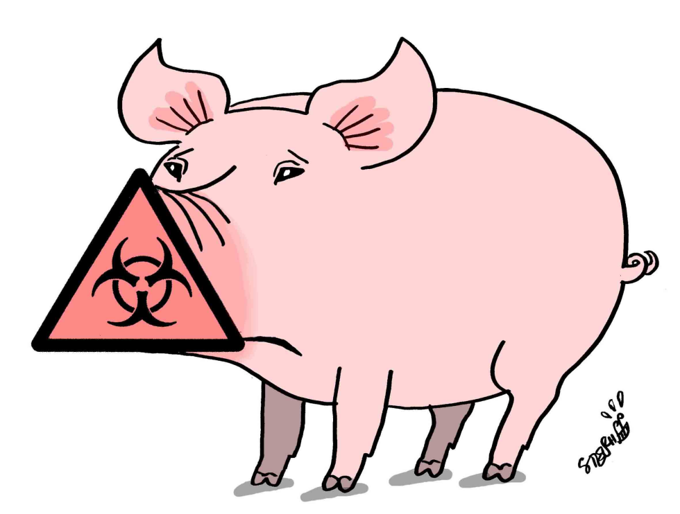  SWINE FLU by Stephane Peray